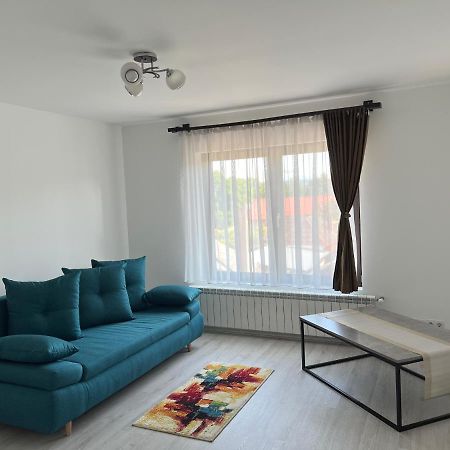 Casa Rafael Hotel Sighetu Marmatiei Bagian luar foto