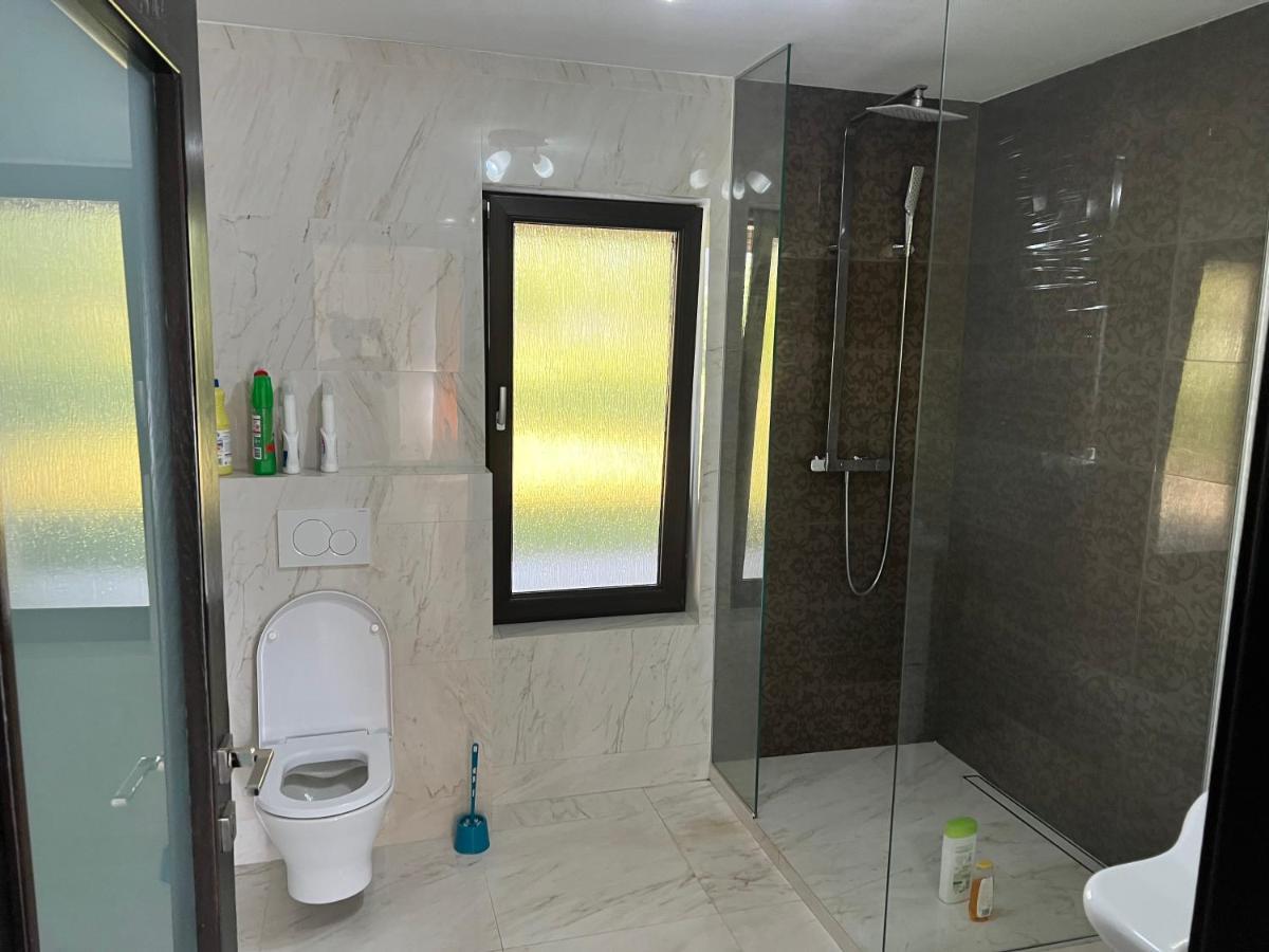 Casa Rafael Hotel Sighetu Marmatiei Bagian luar foto